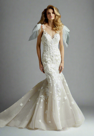 Bridal Collection