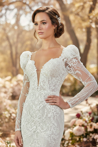 Long Sleeve Maxi Tulle Regular Wedding Dress